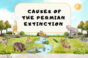 Causes of the Permian Extinction
