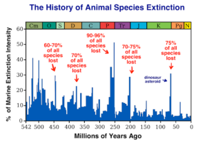 Which is most likely to cause a mass extinction