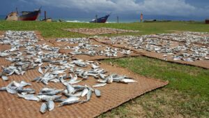 Dried fish consumption