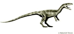 Laevisuchus-Nobu-Tamu-colorgeo