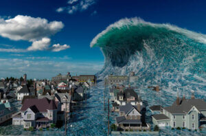 Devastated Tsunami