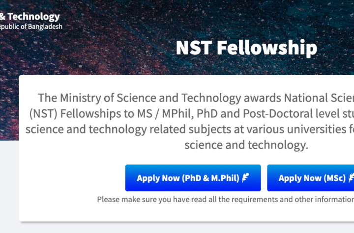 NST Fellowship