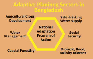 National Adaptive Planning of Actions