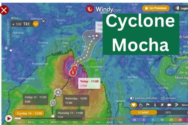 Cyclone Mocha