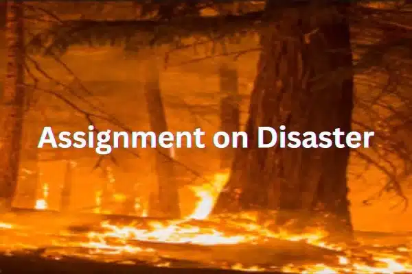 Assignment on Disaster