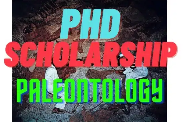 PhD Scholarship