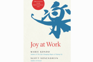 Joy at Work Organizing Your Professional Life