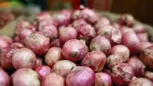 Onion Price in Bangladesh