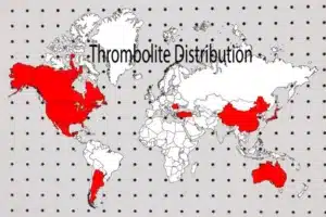 Thrombolites