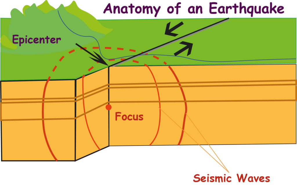 Anatomoy of an Earthquake