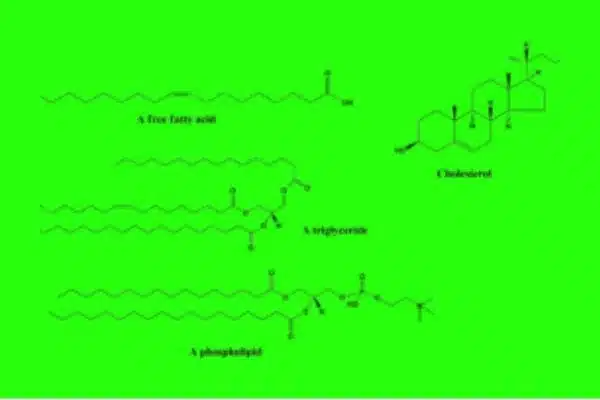 Aromatic Carotenoids