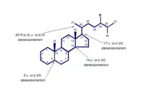 Cyclic Isoprenoids