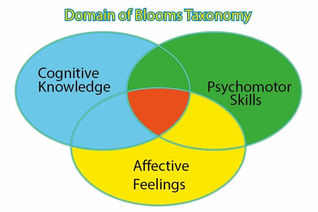 Blooms action verbs