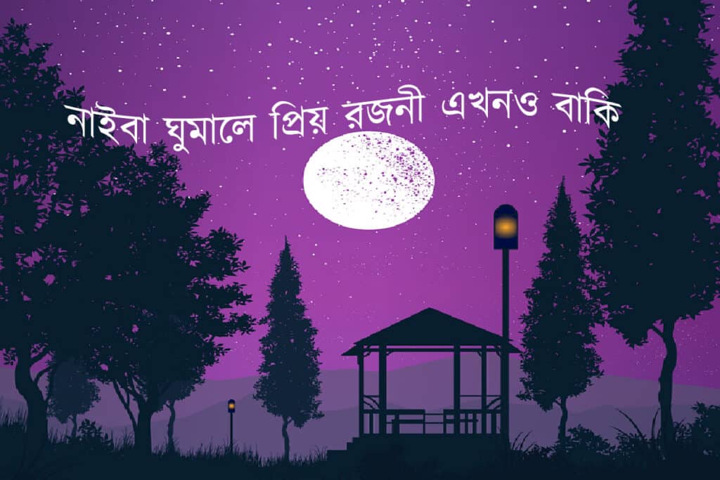 নাইবা ঘুমালে প্রিয়