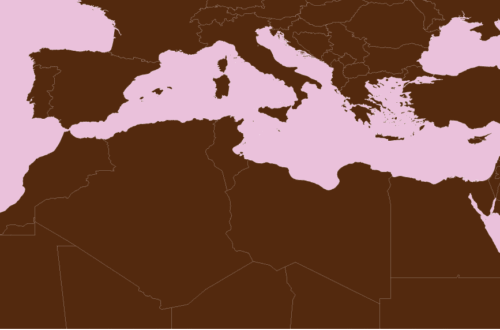 Map of Straits of Gibraltar: Gibraltar Strait Map â Global Shipping Route Between Atlantic Ocean and Mediterranean Sea 37 Map of Straits of Gibraltar